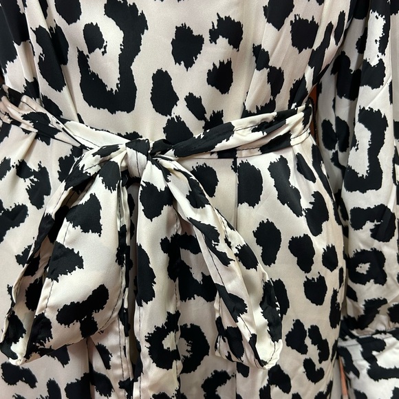 H&M Animal Print Balloon Sleeved Satin‎ Dress - Picture 4 of 16